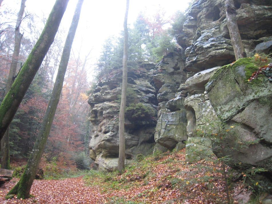 GR11-13-Bollendorf-09-Jef-Mertens-IMG_2575_export