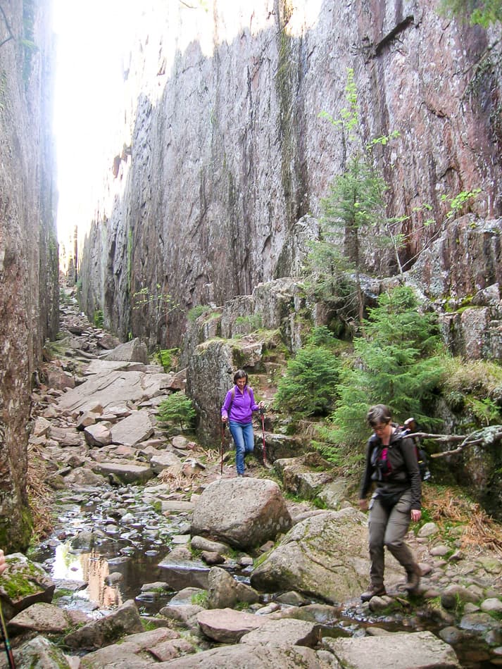 Hoge Kust Bart De Winter 2011 DSCN5988 Export W950