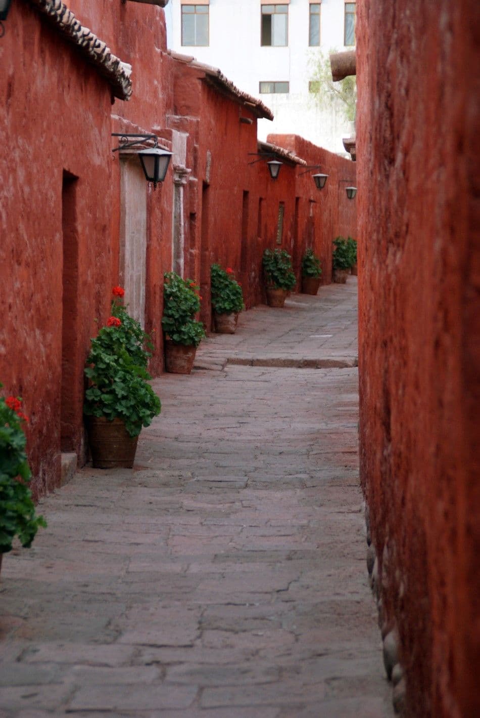 Peru-Bol-12-Lieve-Van-Isacker-Arequipa-Santa-Catalina-klooster-Custom