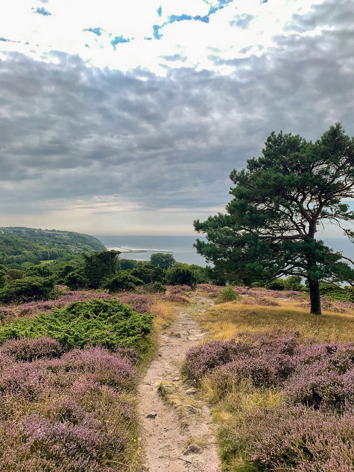 IMG 9885 DK1BHA W950 DK1BHA Katrien Boon W1280