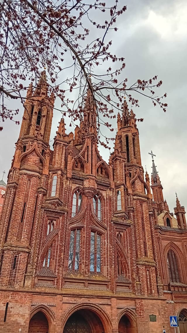 Website Selectie 20250410 095033 Maarten Caversoons