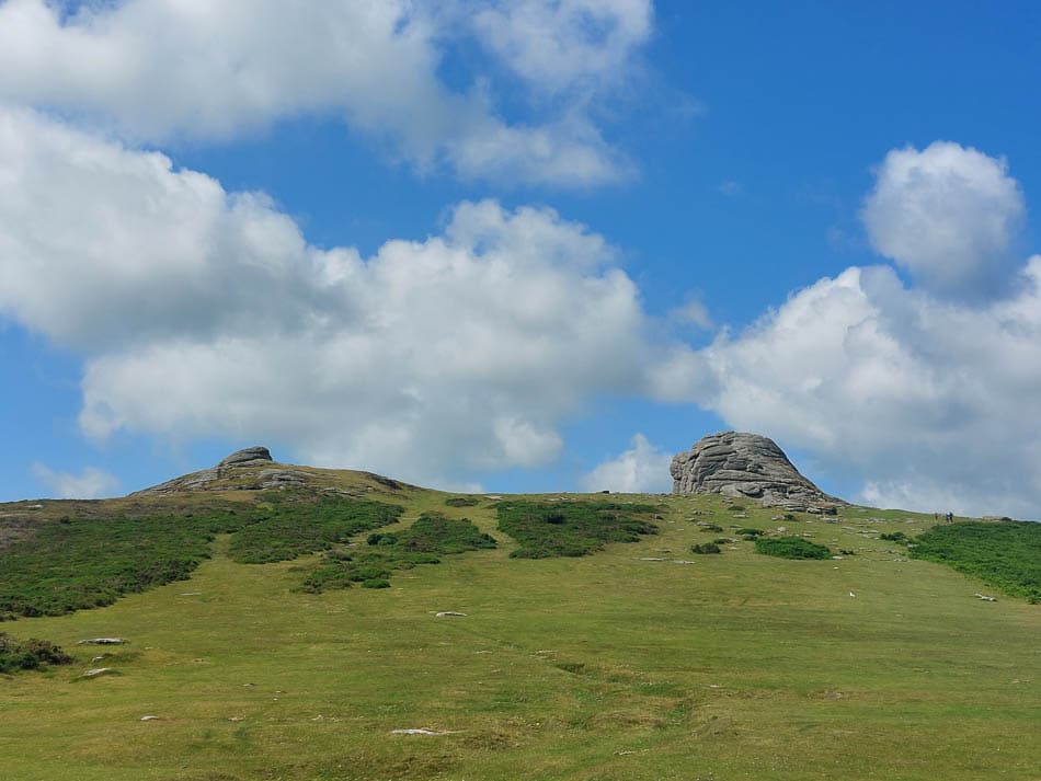 20240716 151434 Selectie Véronique Nechelput W950