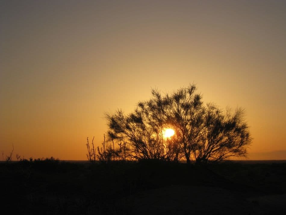 Tunesie-bergwoes-Els-Gielens-472_export