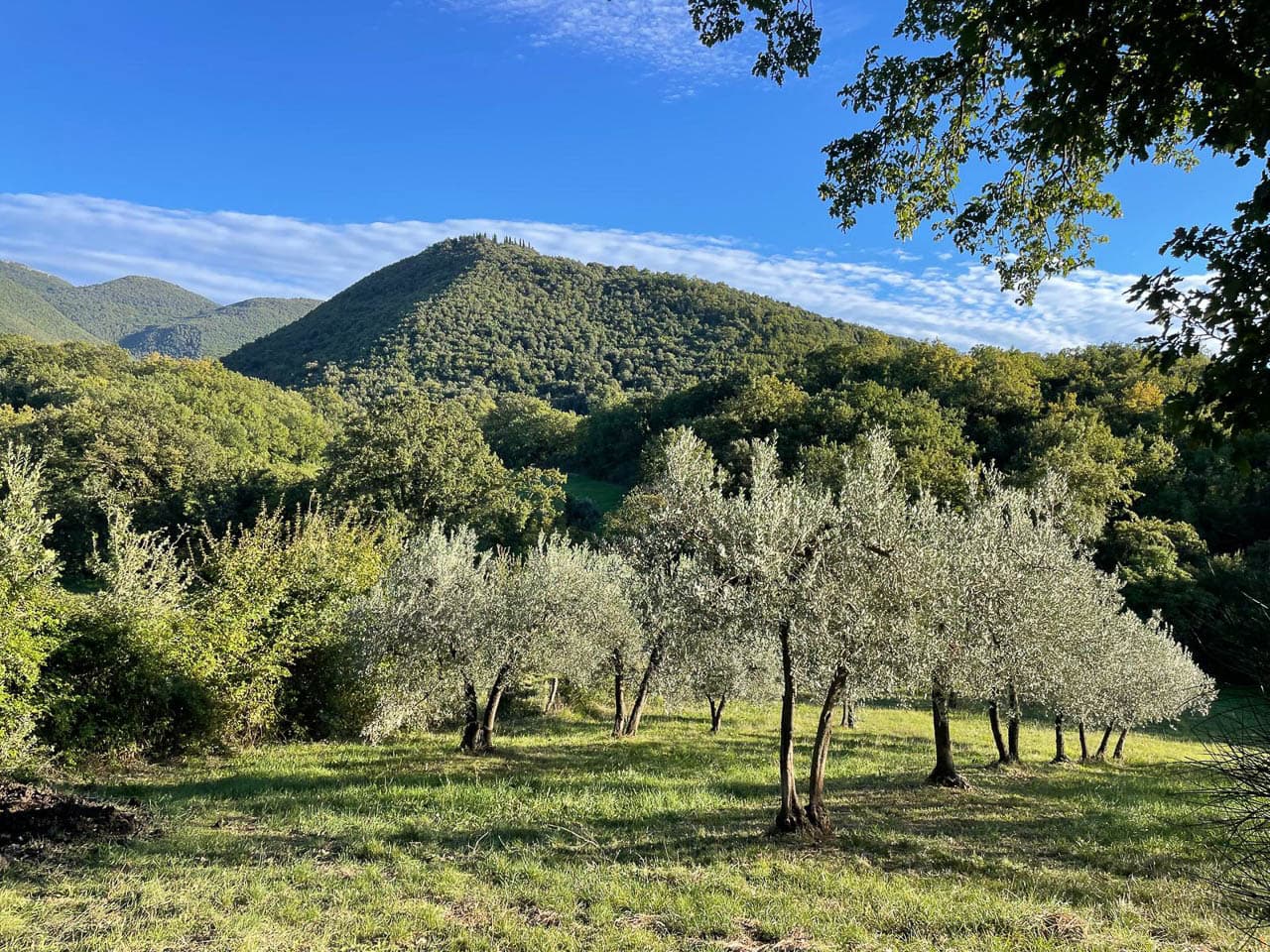 Selectie Whatsapp Image 2025 10 30 At 14.59.11 (10) Geert Oppeel