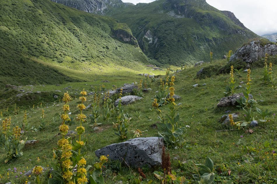 20210805-DSCF7938-Selectie-Karin Warnant-w950