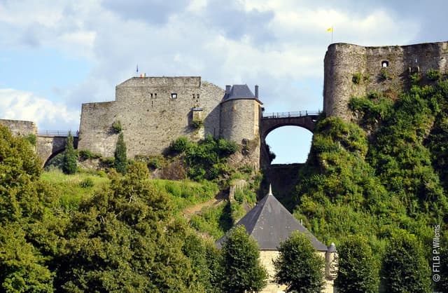 -FTLBPWillems-9_export_w950