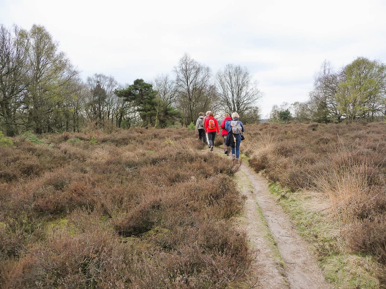 NL5VWA Veluwe Erwin Stoffelen P1070632 Erwin Stoffelen
