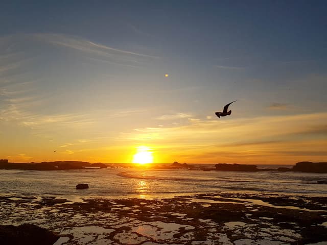 20231024 185109 Stevens Charlotte Charlotte Stevens W950