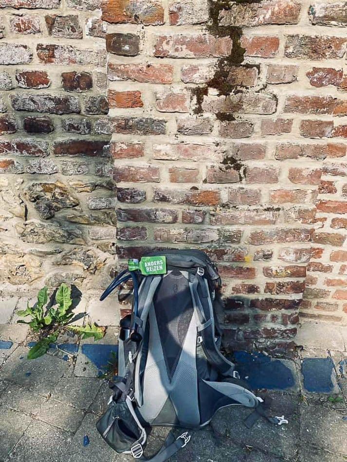 200670043_10224049644567499_7154359722226497770_n_Els Roes_w950