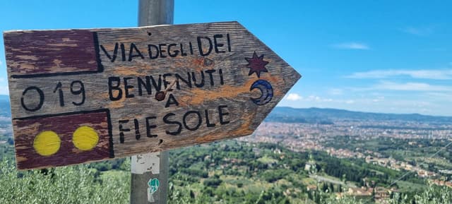 20250727 122540 Tom Dijckmans