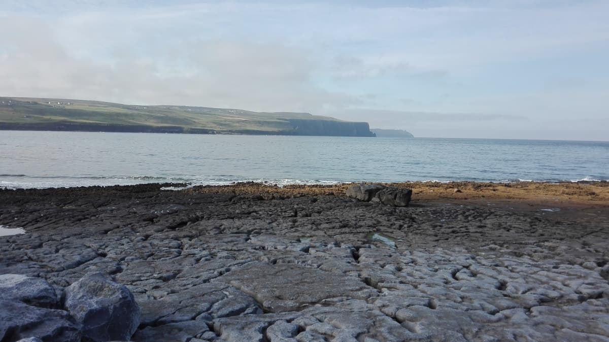 IMG 20170724 090530 Export