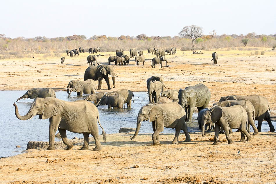 Selectie Sunway Zimbabwe Hwange Np Michieu Lourens 44 20171003 1960192540 Export W950