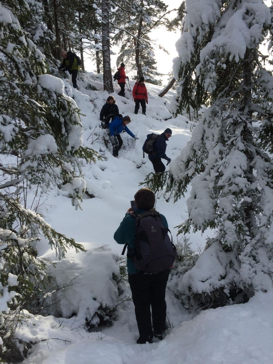 28278176_10213966317543516_1080601963_o_export