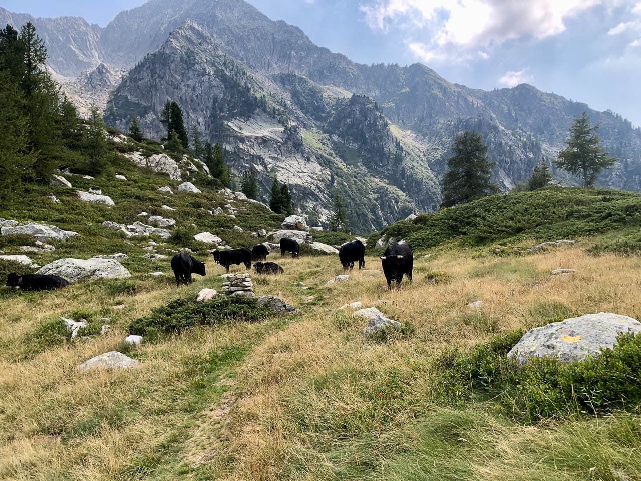 Valle Del Lys Anneke Dekker IMG 4810 Anneke Dekker