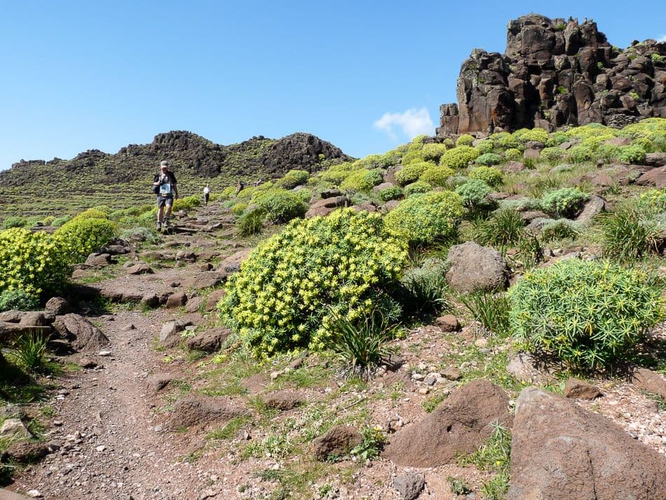 La Gomera 09 Lief Strackx P1000122_export_w950