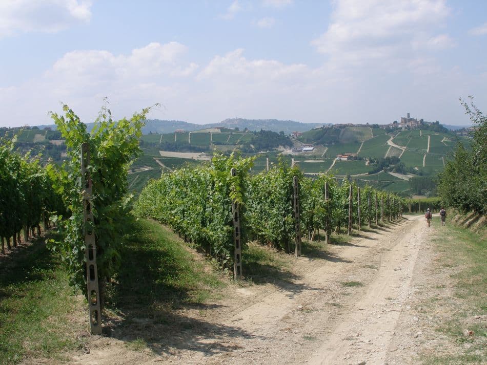 IND13-70-Piemonte-10-Marnix-Schaubroeck-0714-32-zicht-op-CASTIGLIONE-Copy_export_w950