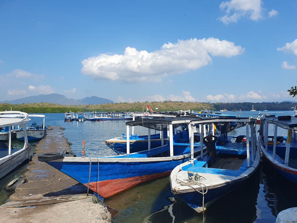 20240718 101931 Marieke Huys Marieke Huys W950