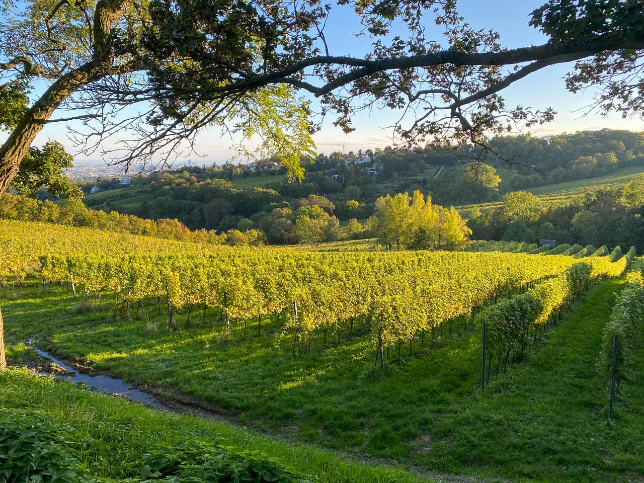 Img 3078 At1wnd Bart De Winter W1280