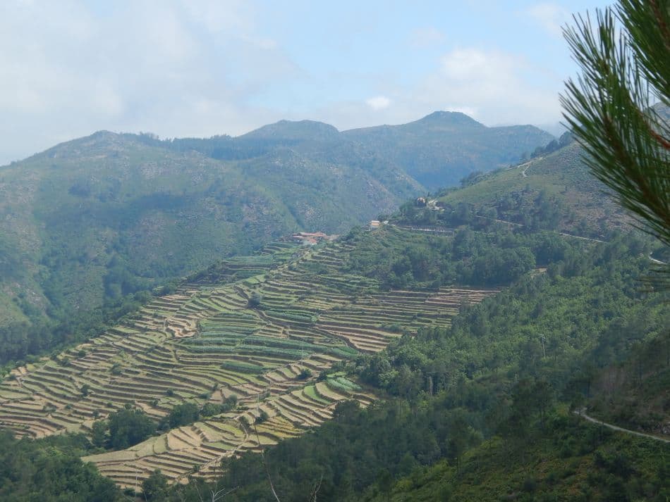 MA Minho DSCN8082_export