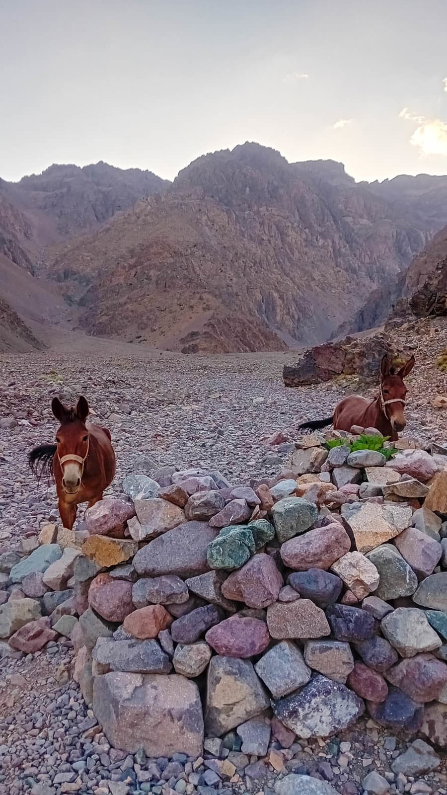 20240829 192340 Selectie Maarten Caversoons W950