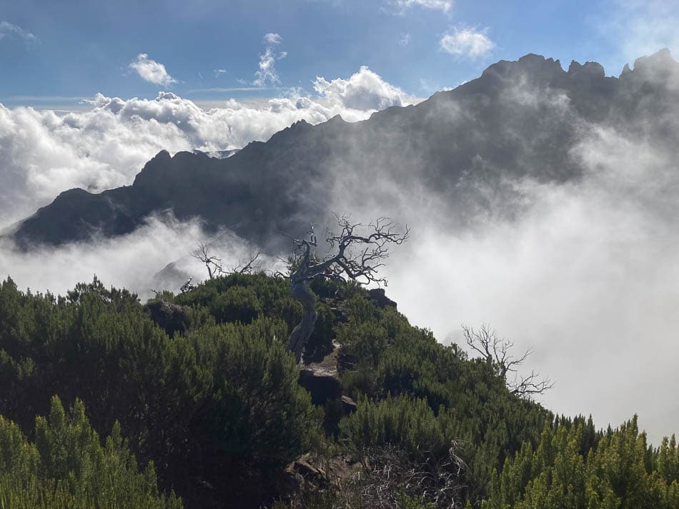 Prospectie (16) Selectie Sophie En Koen W950