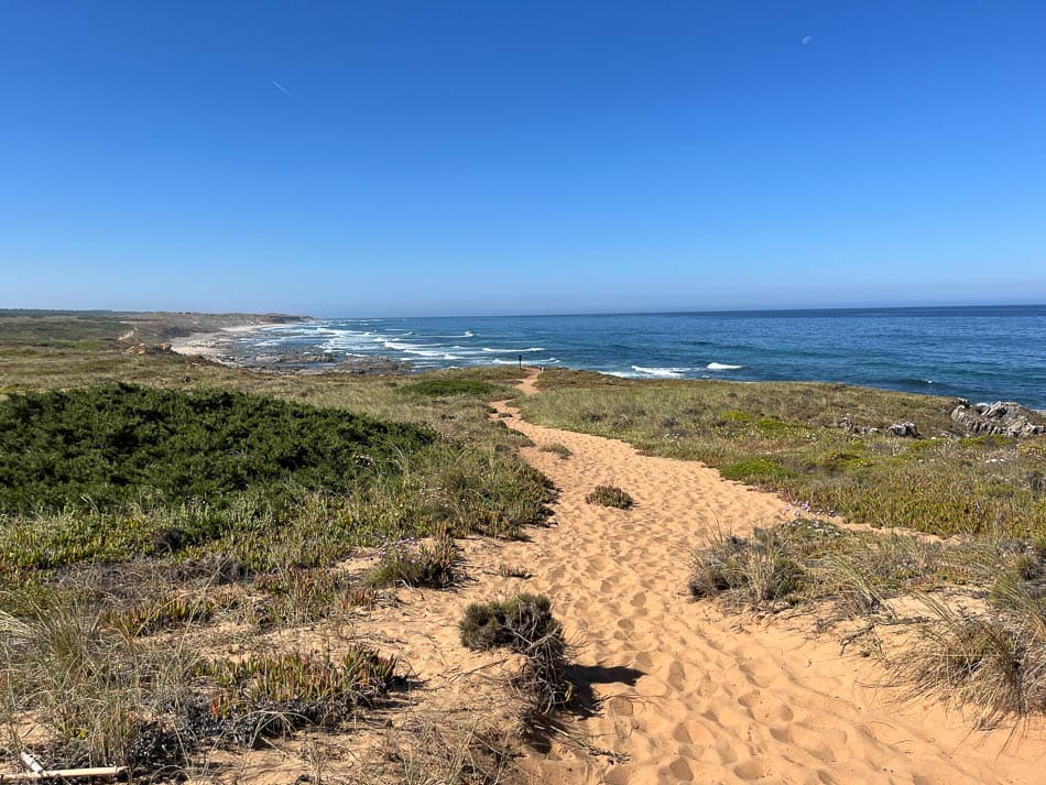 Image00008 PT6ALA Agent W950