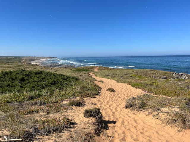 Image00008 PT6ALA Agent W950