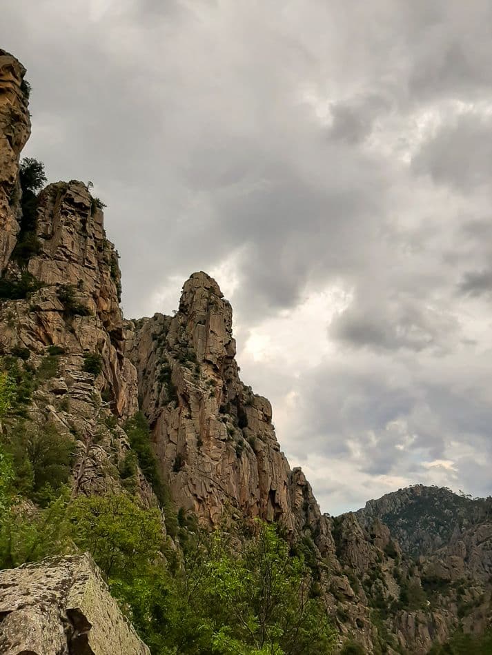 20200719_150231_export_w950