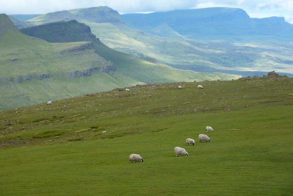 IND11-34-Schotland-Kris-Vanloo-P1000466_export_w950