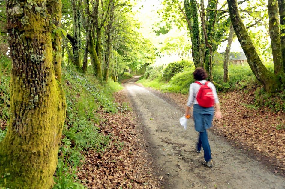 IMG_3470_1_dig_Jose Augusto Azevedo_w950