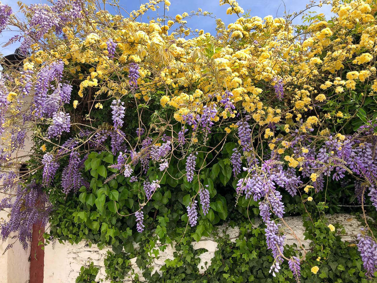 Selectie Linda Smets Image00050 Linda Smets