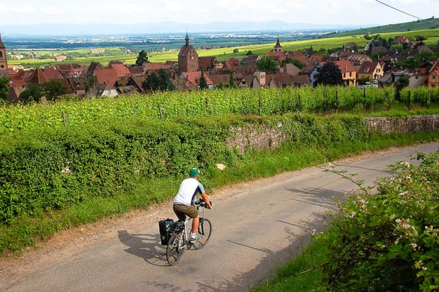 Alsace Velo Safrantours 5 FR6EZA Safrantours W950