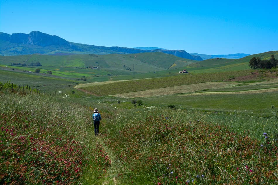 DSC 6103 Selectie Melissa Bernard Quintens W950