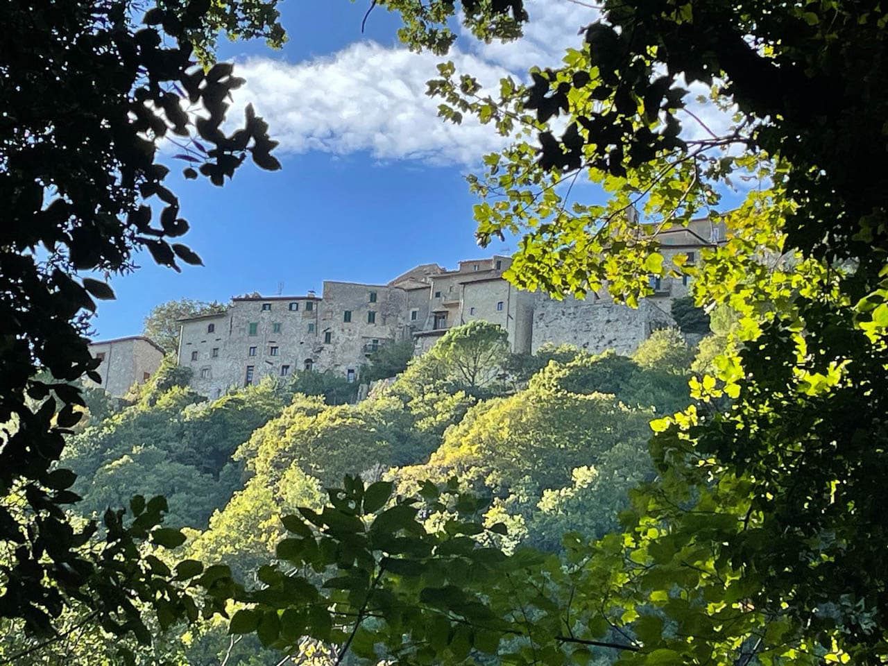 Selectie Whatsapp Image 2025 10 30 At 14.59.11 (9) Geert Oppeel