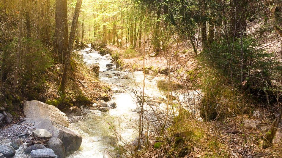 DSC_0899_export_w950