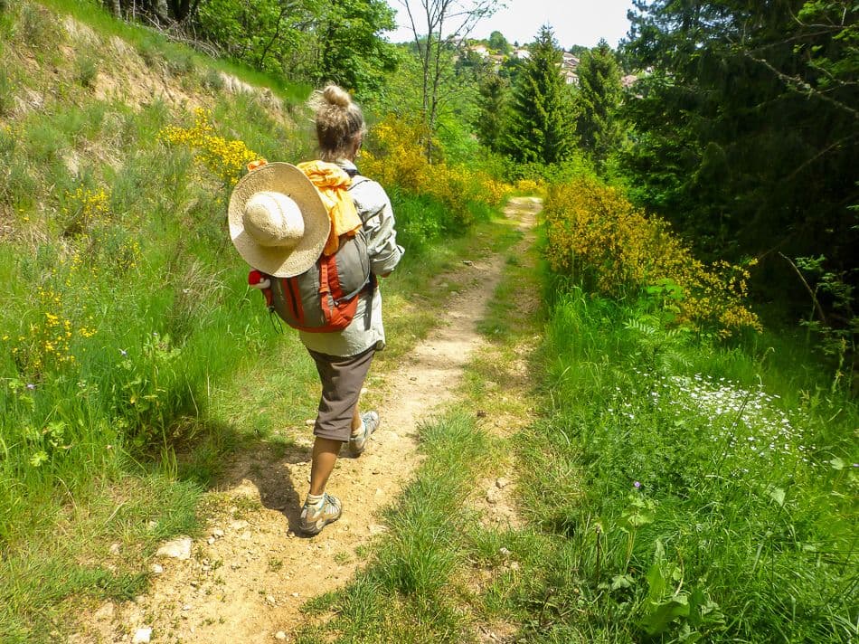 C006 STV 14 JP 00215_export_w950