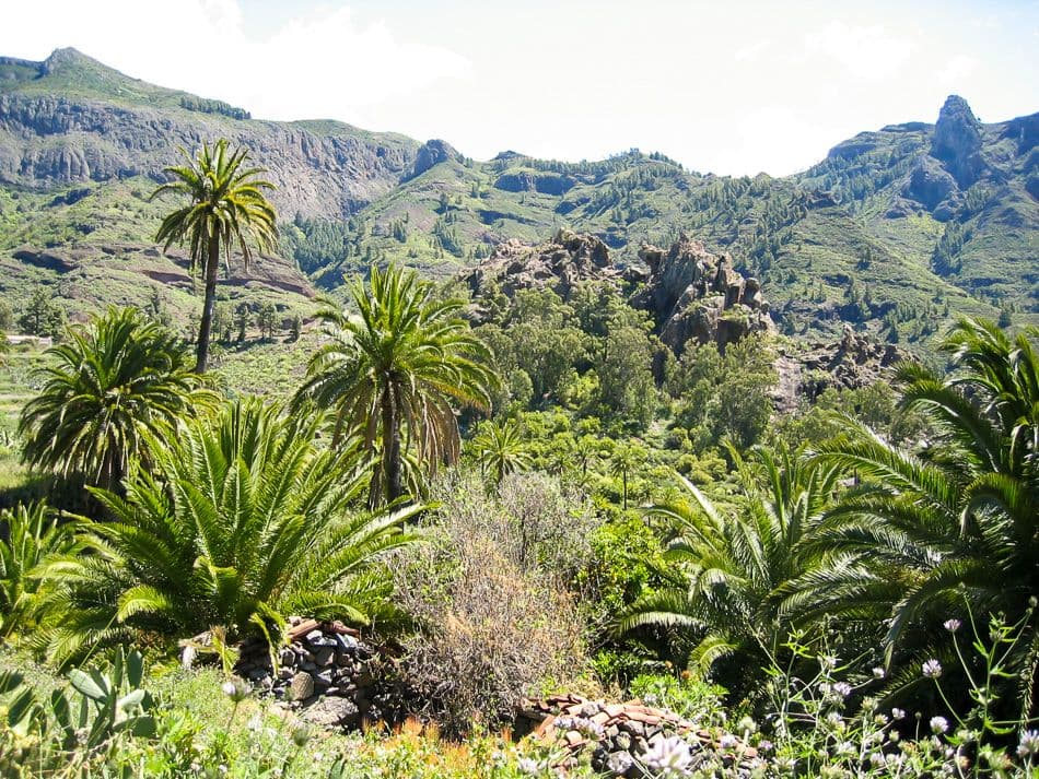 La Gomera 07 Marc Houzet 3_export_w950