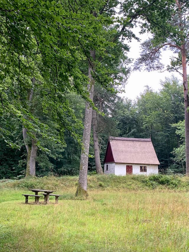 IMG 9911 DK1BHA W950 DK1BHA Katrien Boon W1280