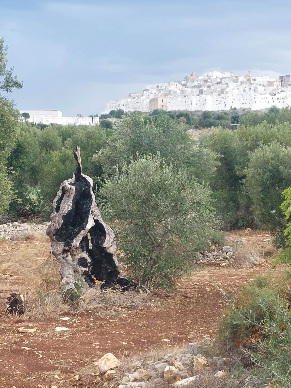 Selectie 20251005 135828