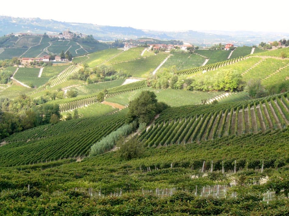 Piemonte-2013-275-Lut-De-Smet_export_w950