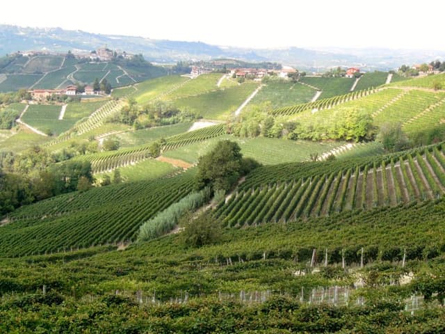 Piemonte-2013-275-Lut-De-Smet_export_w950