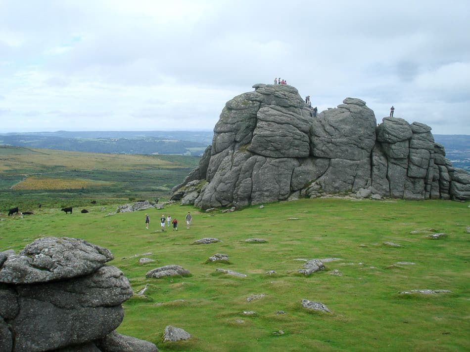 DSC05825_export_w950