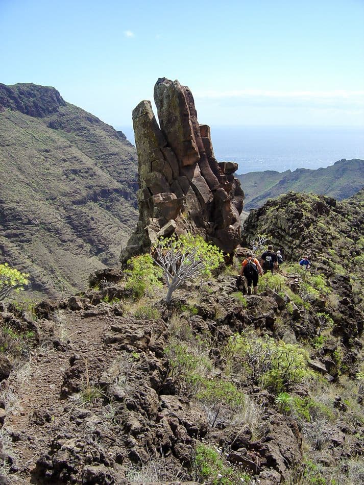 GR14-115 La Gomera 08 Ronny Cornelis 1_export_w950