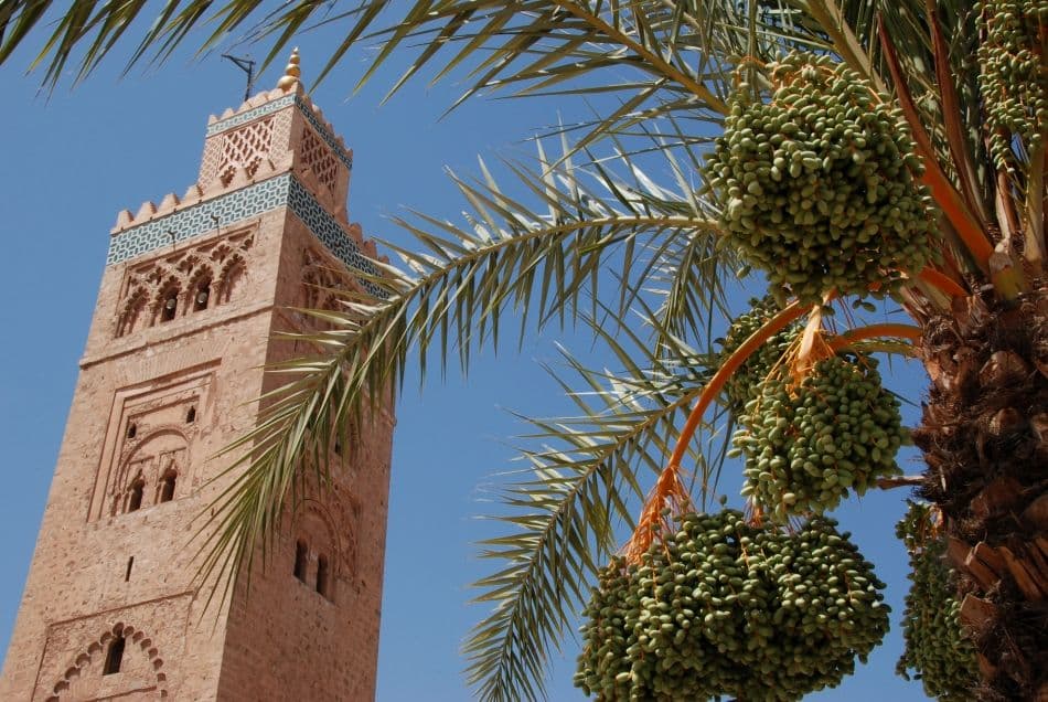 kve_NIKON-D80_20120701_124725_DSC_3173_export