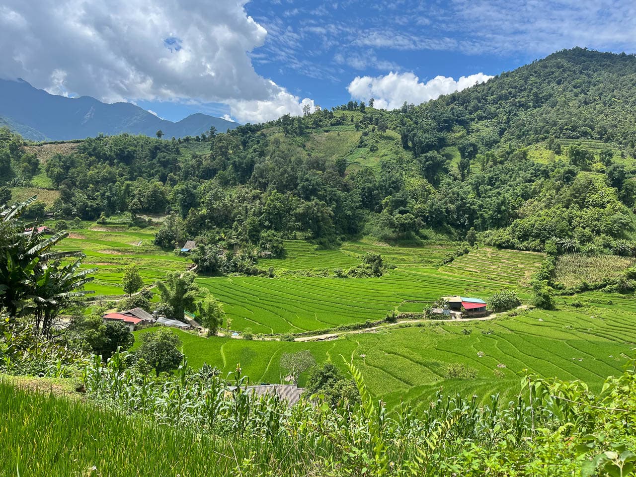 Selectie Ngan Nguyen IMG 4285 Ngan Nguyen