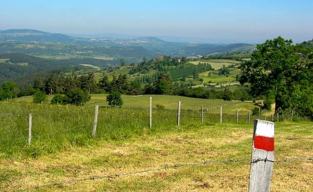 A006 STV 14 EV 0028_export_w950