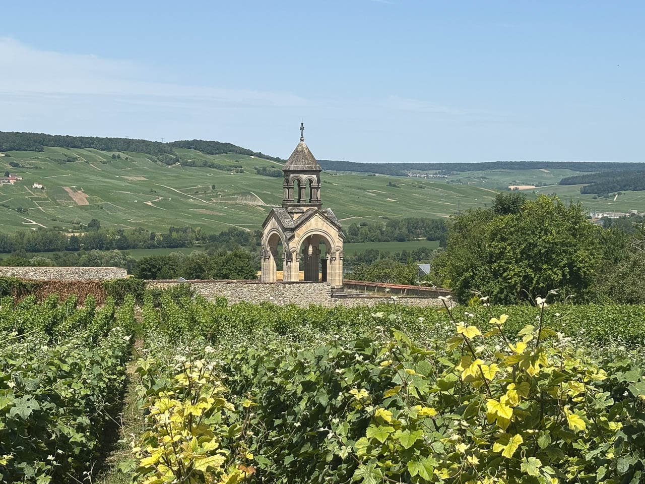 FR5CHA IMG 7884 Ann Tilley