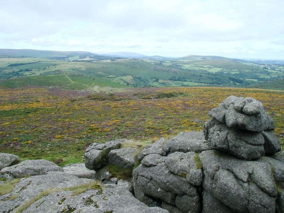 DSC05824_export_w950