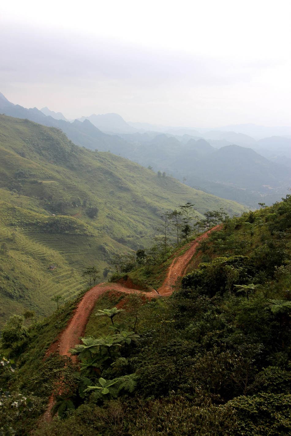 VN 344 Selectie Arne Vanwijnsberghe Arne Van Wijnsberghe W950