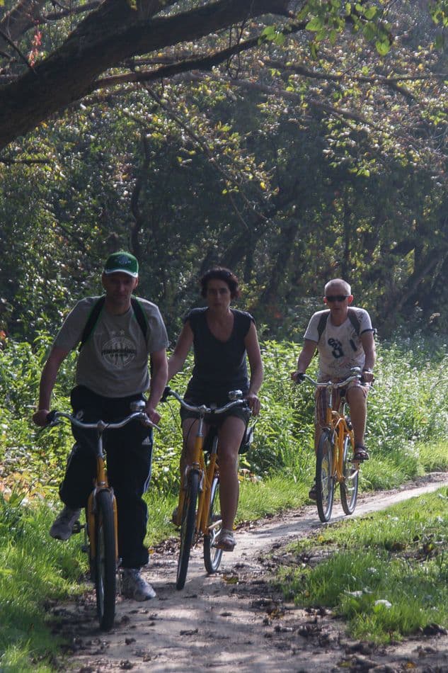 14HU161_PeterCornelissen-7_export_w950